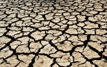 The drought - Nature, Drought, HD, Dryness, Earth