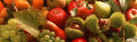 Fruits - hd, abstract, photography, fruits, apple, pomegranade