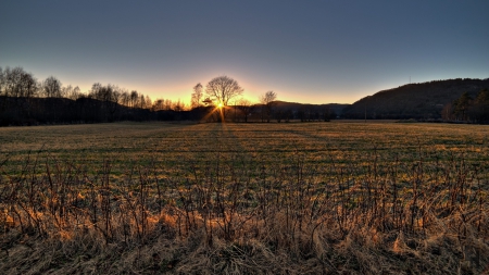 lovely sunrise over a rural field - rays, field, hills, trees, sunrise