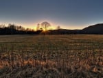 lovely sunrise over a rural field