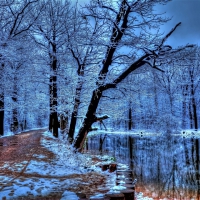 walking path by a lake in winter hdr