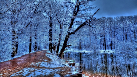 walking path by a lake in winter hdr - lake, trees, winter, shore, hdr, path