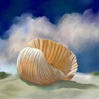 Seashell Art