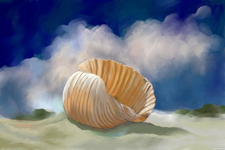 Seashell Art - beach, seashell, art, sand