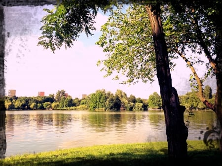 Once upon a park - sky, lake, romania, bucharest, park, bucuresti, tree, ior