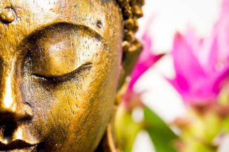 Peace for the Mind - flowers, serene, meditating, pink, buddha