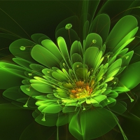 Abstract Green Flower