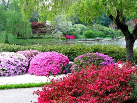 Beautiful garden. - red, pink, green, grass