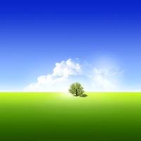 Simple nature desktop wallpaper