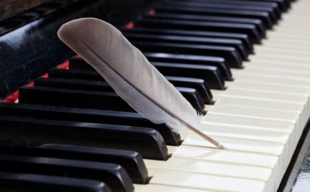 @ - feather, black and white, notes, piano