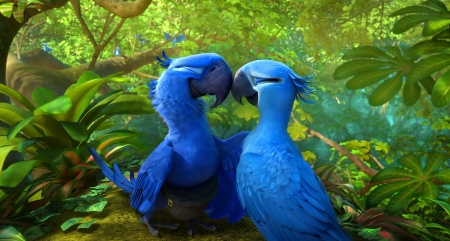 Love parrots - tropical, forest, kiss, animals, rio, parrots, love, friends, lovely, movie, passion, trees