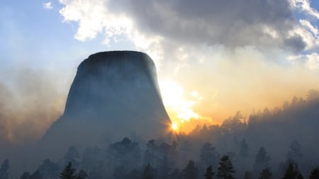 devils tower in morning fog - cliff, forest, fog, mountain, sunrise