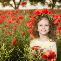 Little girl with flowers in the poppy field