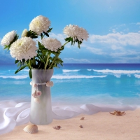 Flowers on the beach 