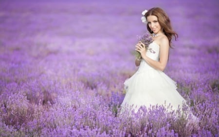 * On purple  field  * - flowers, lavandar, flower, nature