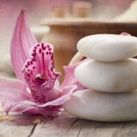 Zen Spa â™¥