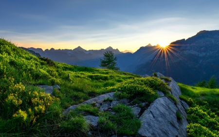 Mountain Sunrise - Mountains & Nature Background Wallpapers On Desktop 