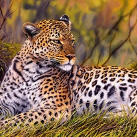 King of the savannah