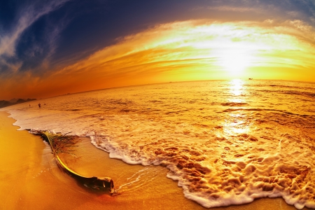 â™¥Golden Sunsetâ™¥ - beach, tropical, golden, sunset, sea