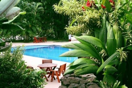 garden pool - nature, table, water, chairs, pool, garden