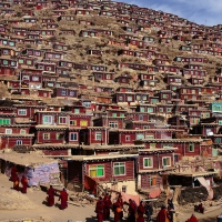 amazing log homes in a himalayan village