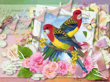 PAIR OF ROSELLAS - PAIR, ROSELLA, CREATION, BIRDS