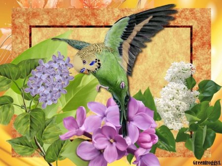 BUDGIE WITH LILACS - LILAC, BUDGIE, NATURE, CREATION