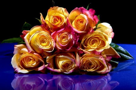 Beautiful Roses - roses, yellow, blue, beautiful, bouquet