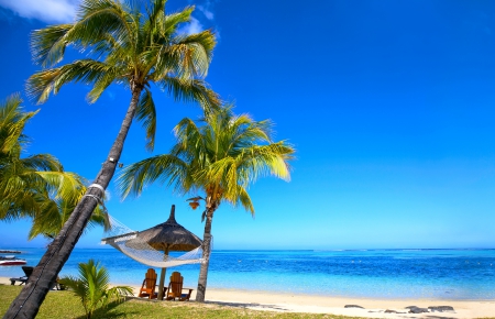 â™¥Tropical Paradiseâ™¥ - vacation, sunshine, beach, hammock, palms, tropical, sea