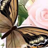 Bronze Butterflies Pink Rose