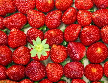 ♥Strawberry♥ - berries, fresh, strawberry, red, sweet