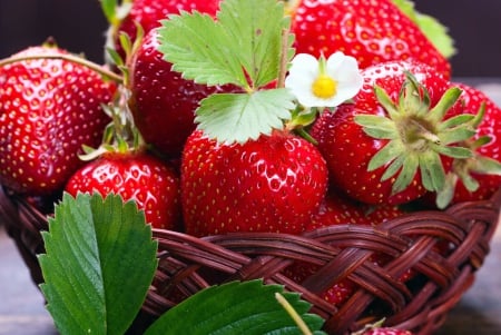 â™¥Strawberryâ™¥ - fresh, strawberry, basket, berries