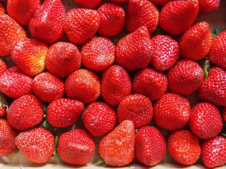 â™¥Strawberryâ™¥ - fresh, strawberry, berries, red