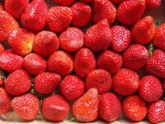 â™¥Strawberryâ™¥