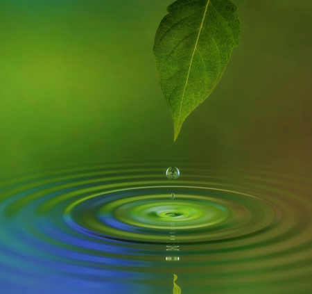 Heavenly Calm - calm, heavenly, blue, water, green, leaf