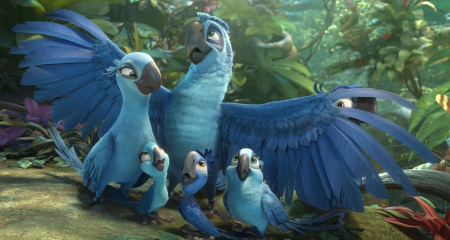 Rio 2 - Wallpaper, Beautiful, 2, Rio