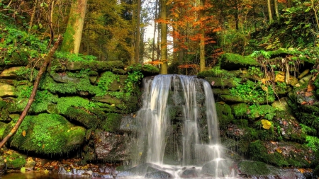 waterfalls over moss covered stones - moss, stones, forest, waterfall