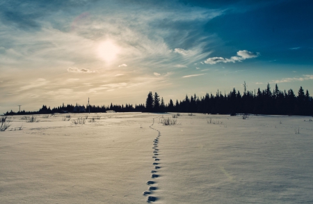 The steps on the path of your life - scenery, beautiful, splendor, steps, life