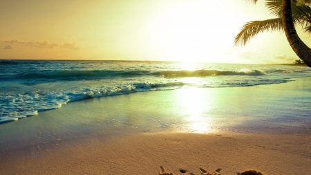 âœ¿sweet sunriseâœ¿ - beach, sundown, blue, wallpaper, sand