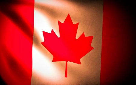 Happy Canada Day - white, flag, red, canada, maple leaf