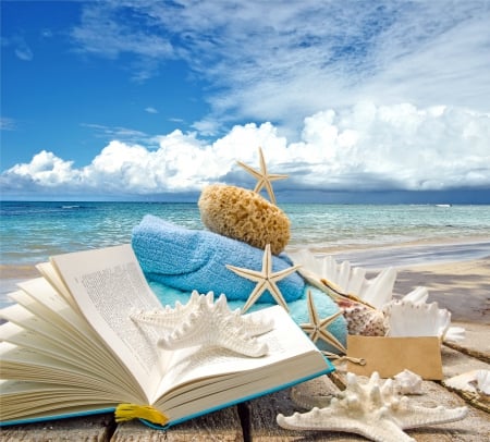 ♥Summer Vacation♥ - shells, summer, beach, vacation, sea