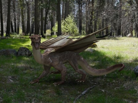 Dragon in wood I - light, ibl, Dragon, wood