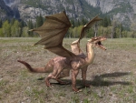 Dragon in Yosemite Park III