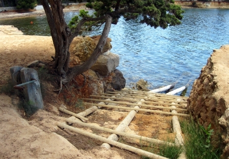 ******** - abstract, trees, photography, wood, sea, sand, rocks