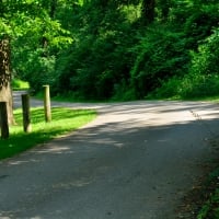 Summer Park Scenery