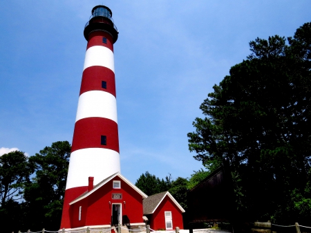 Assateaque Island Lighthouse - lighthouse, building, light, island, house, nature, virginia