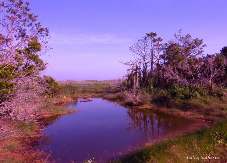 Evening in Blue on the Marsh - water, nature, Chincoteaque, marsh, lake, grass, field, Virginia