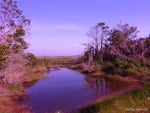 Evening in Blue on the Marsh