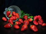 Strawberries and a Single Flower