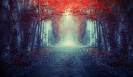 Entrance - autumn, trees, magical, road, mist, dark, beautiful, red, blue, leaves